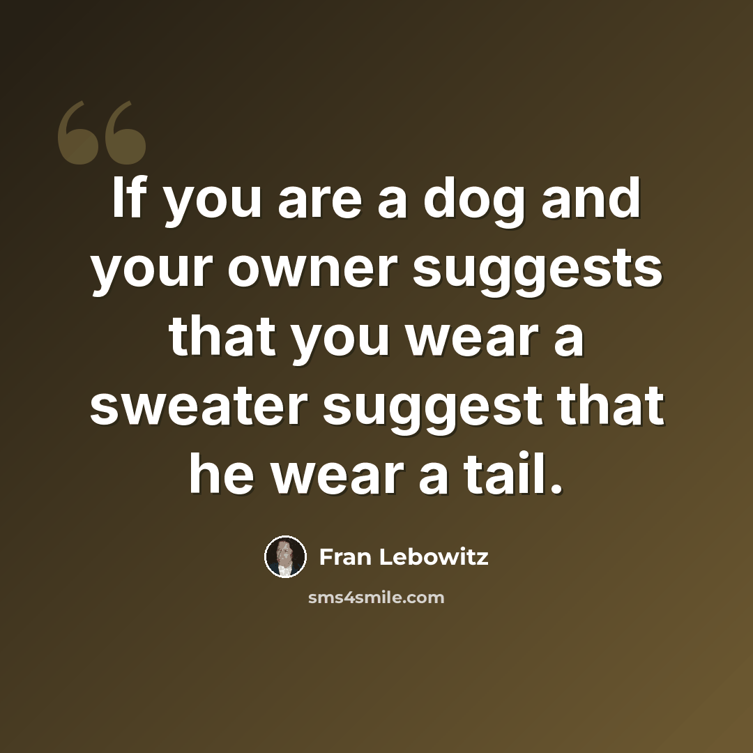 “If you are a dog and your owner suggests that you wear a sweater suggest that he wear a tail.” quote by Fran Lebowitz