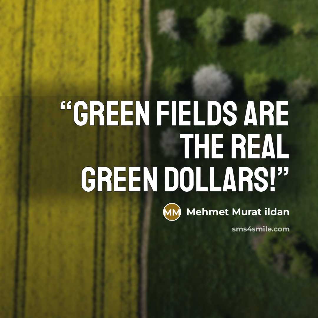 “Green fields are the real green dollars!” quote by Mehmet Murat ildan