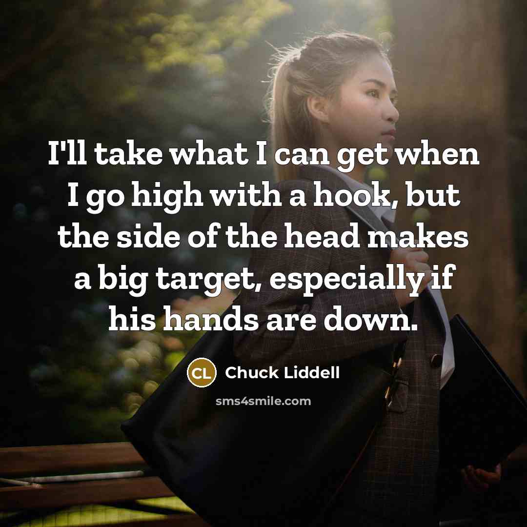 “I'll take what I can get when I go high with a hook, but the side of the head makes a big target, especially if his hands are down.” quote by Chuck Liddell
