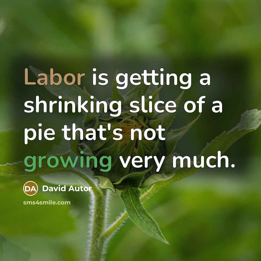 “Labor is getting a shrinking slice of a pie that's not growing very much.” quote by David Autor