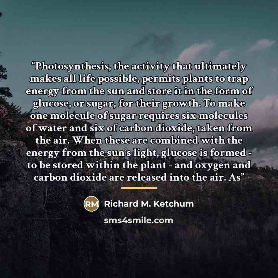 “Photosynthesis, the activity that ultimately makes all life possible, permits plants to trap energy from the sun and store it in the form of glucose, or sugar, for their growth. To make one molecule of sugar requires six molecules of water and six of carbon dioxide, taken from the air. When these…” quote by Richard M. Ketchum