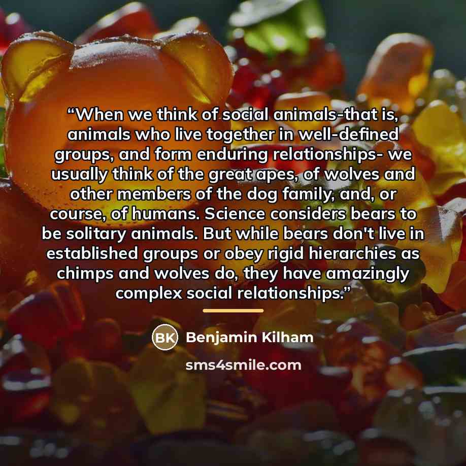 “When we think of social animals-that is, animals who live together in well-defined groups, and form enduring relationships- we usually think of the great apes, of wolves and other members of the dog family, and, or course, of humans. Science considers bears to be solitary animals. But while bears…” quote by Benjamin Kilham