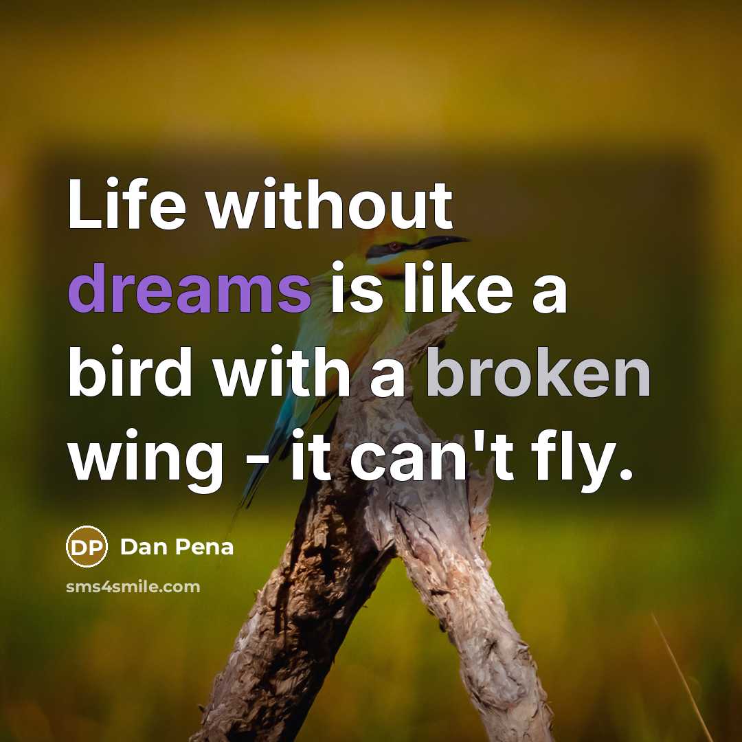 “Life without dreams is like a bird with a broken wing - it can't fly.” quote by Dan Pena