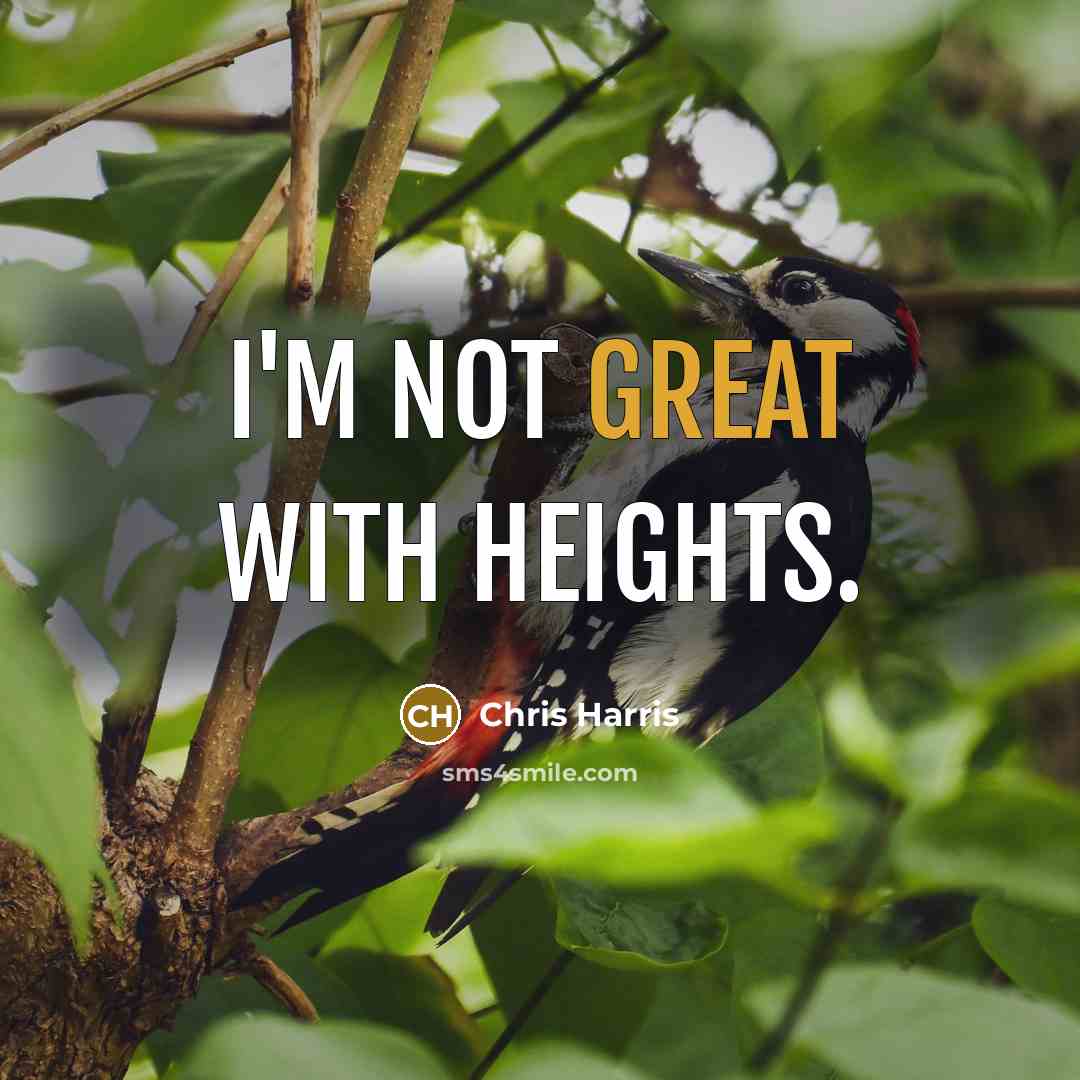“I'm not great with heights.” quote by Chris Harris