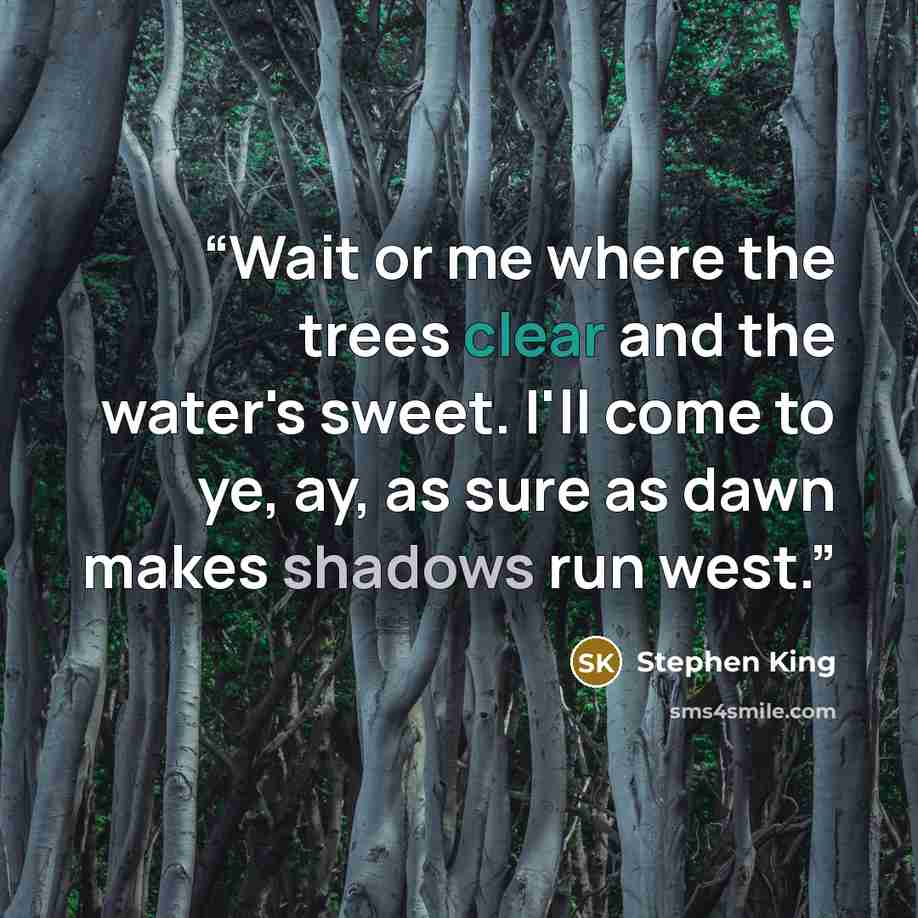 “Wait or me where the trees clear and the water's sweet. I'll come to ye, ay, as sure as dawn makes shadows run west.” quote by Stephen King