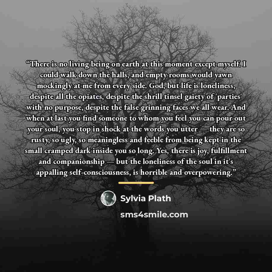 “There is no living being on earth at this moment except myself. I could walk down the halls, and empty rooms would yawn mockingly at me from every side. God, but life is loneliness, despite all the opiates, despite the shrill tinsel gaiety of 'parties' with no purpose, despite the false grinning…” quote by Sylvia Plath
