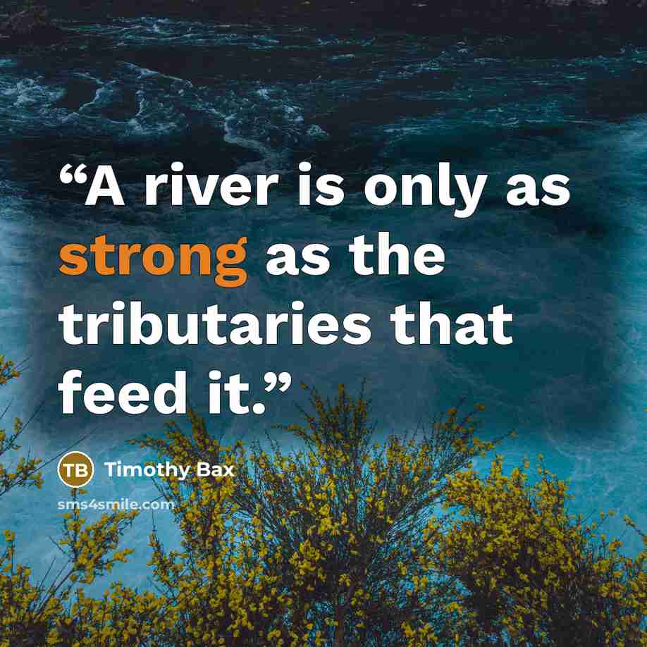 “A river is only as strong as the tributaries that feed it.” quote by Timothy Bax