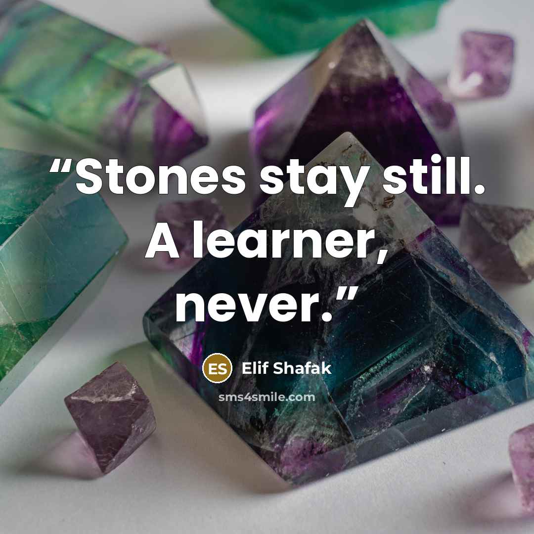“Stones stay still. A learner, never.” quote by Elif Shafak