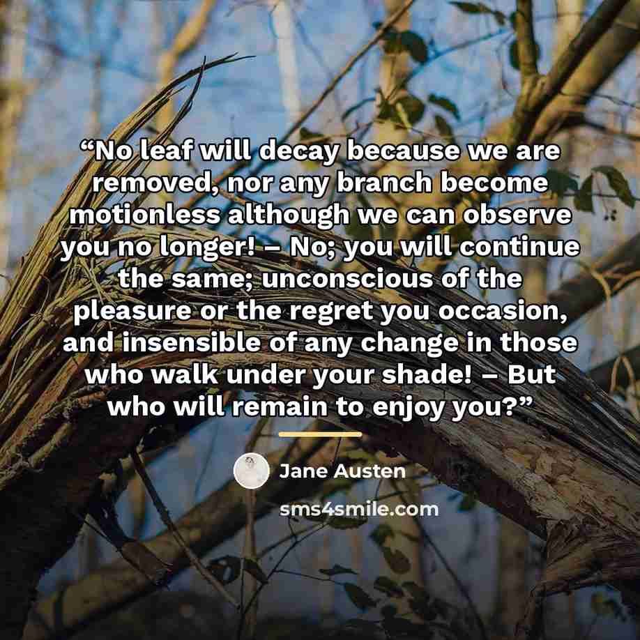 “No leaf will decay because we are removed, nor any branch become motionless although we can observe you no longer! – No; you will continue the same; unconscious of the pleasure or the regret you occasion, and insensible of any change in those who walk under your shade! – But who will remain to…” quote by Jane Austen