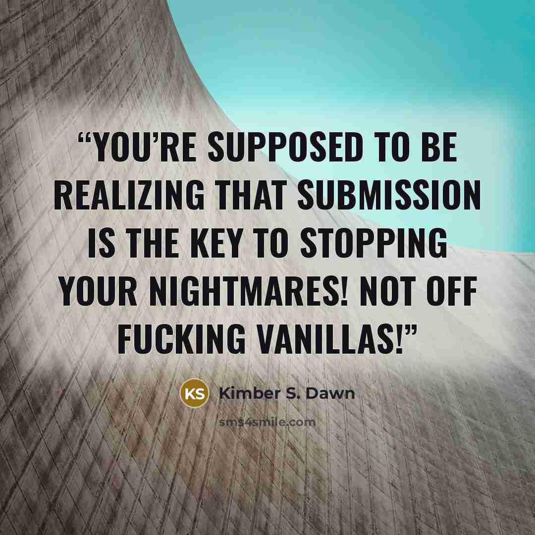 “YOU’RE SUPPOSED TO BE REALIZING THAT SUBMISSION IS THE KEY TO STOPPING YOUR NIGHTMARES! NOT OFF FUCKING VANILLAS!” quote by Kimber S. Dawn