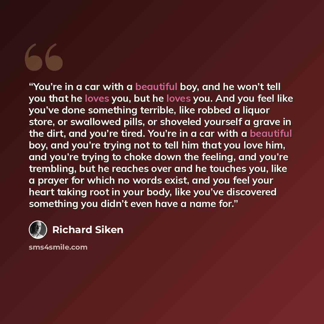 “You’re in a car with a beautiful boy, and he won’t tell you that he loves you, but he loves you. And you feel like you’ve done something terrible, like robbed a liquor store, or swallowed pills, or shoveled yourself a grave in the dirt, and you’re tired. You’re in a car with a beautiful boy, and…” quote by richard siken