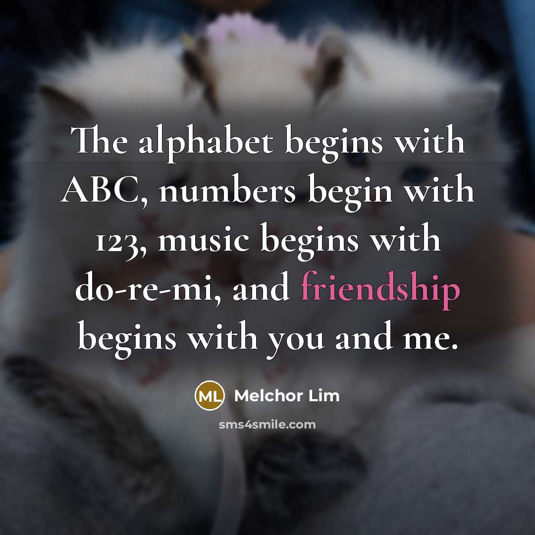 “The alphabet begins with ABC, numbers begin with 123, music begins with do-re-mi, and friendship begins with you and me.” quote by Melchor Lim