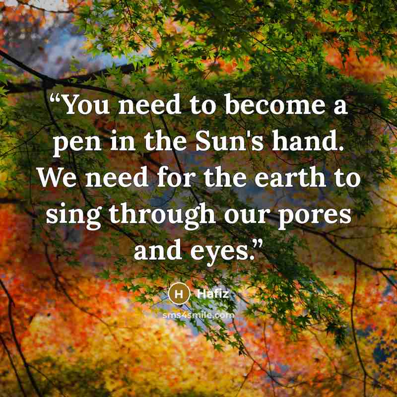 “You need to become a pen in the Sun's hand. We need for the earth to sing through our pores and eyes.” quote by Hafiz