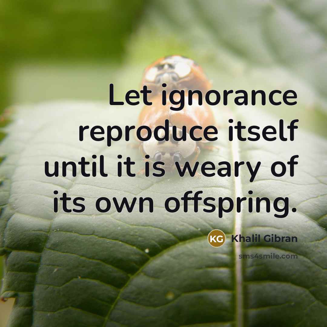 “Let ignorance reproduce itself until it is weary of its own offspring.” quote by Khalil Gibran