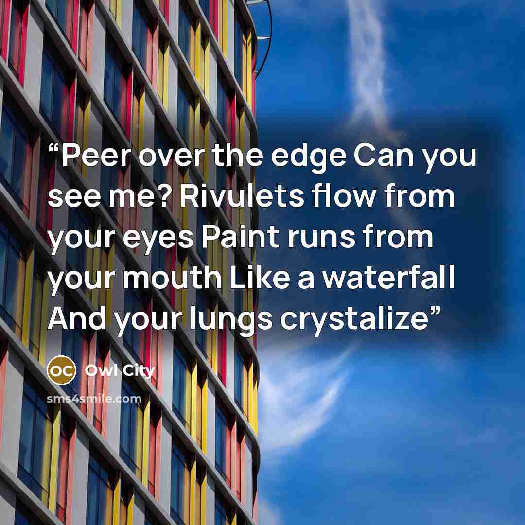 “Peer over the edge Can you see me? Rivulets flow from your eyes Paint runs from your mouth Like a waterfall And your lungs crystalize” quote by Owl City
