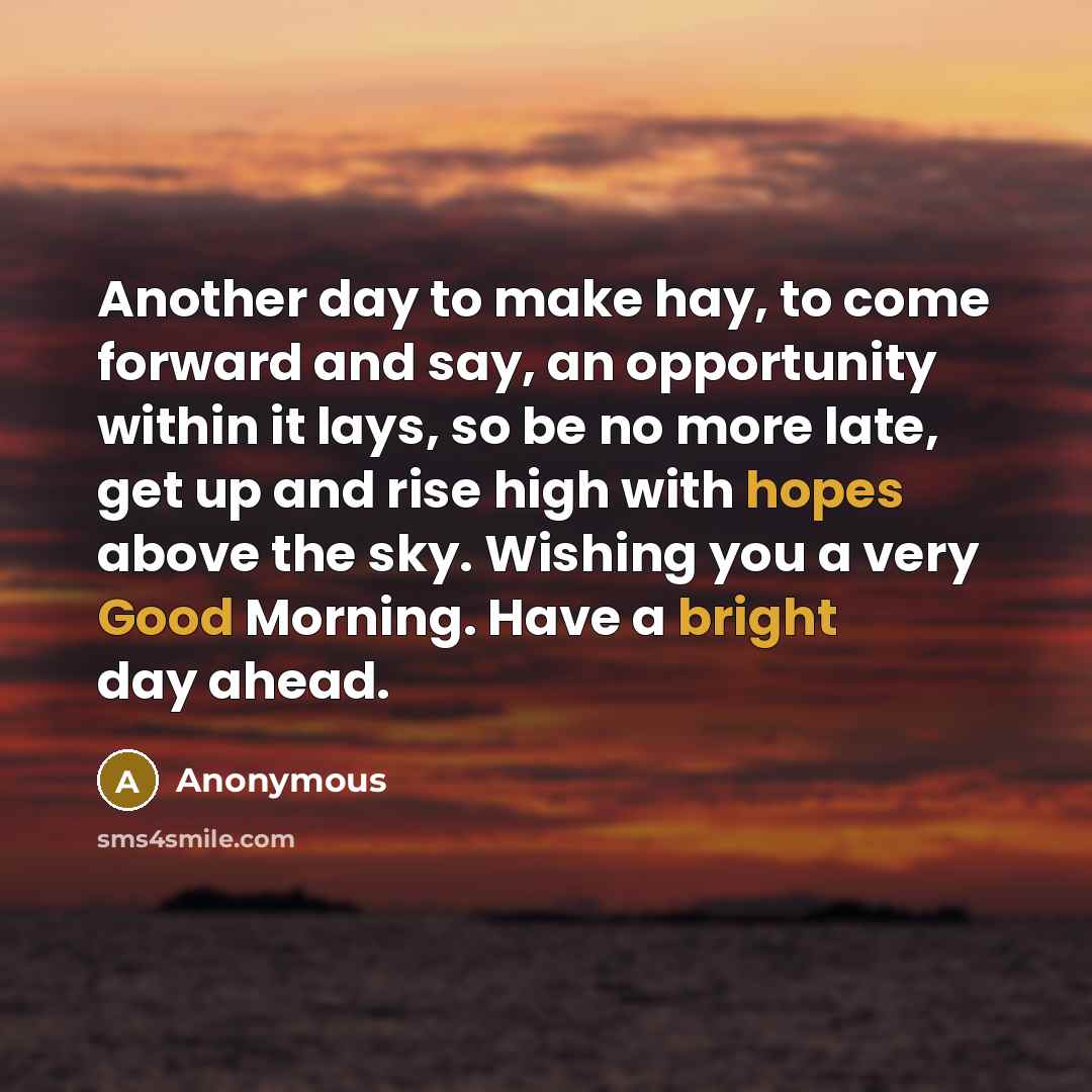 “Another day to make hay, to come forward and say, an opportunity within it lays, so be no more late, get up and rise high with hopes above the sky. Wishing you a very Good Morning. Have a bright day ahead.” quote by Anonymous
