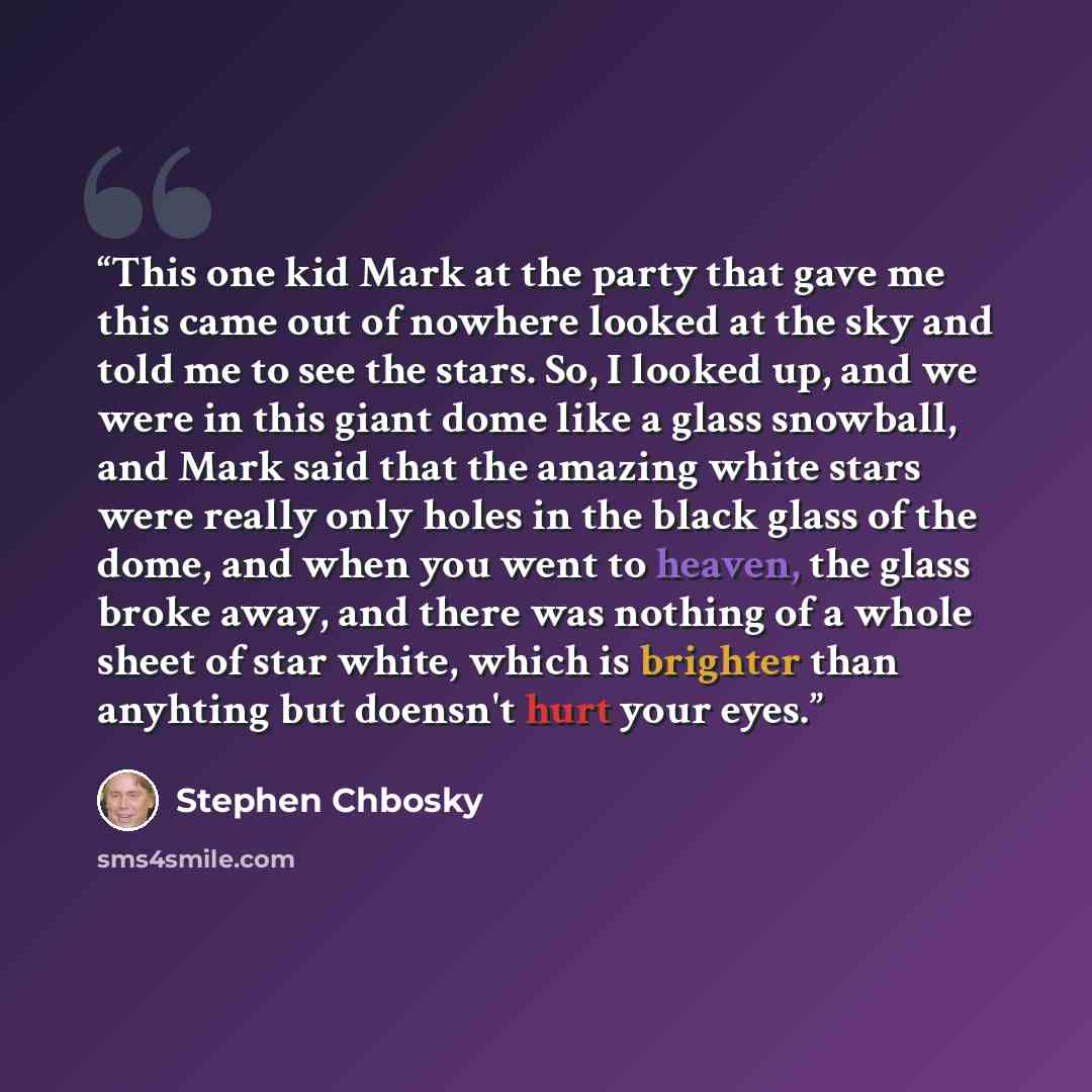 “This one kid Mark at the party that gave me this came out of nowhere looked at the sky and told me to see the stars. So, I looked up, and we were in this giant dome like a glass snowball, and Mark said that the amazing white stars were really only holes in the black glass of the dome, and when you…” quote by Stephen Chbosky