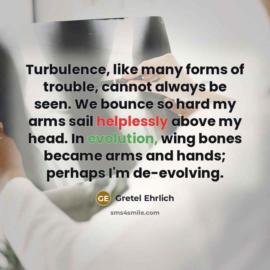 “Turbulence, like many forms of trouble, cannot always be seen. We bounce so hard my arms sail helplessly above my head. In evolution, wing bones became arms and hands; perhaps I'm de-evolving.” quote by Gretel Ehrlich