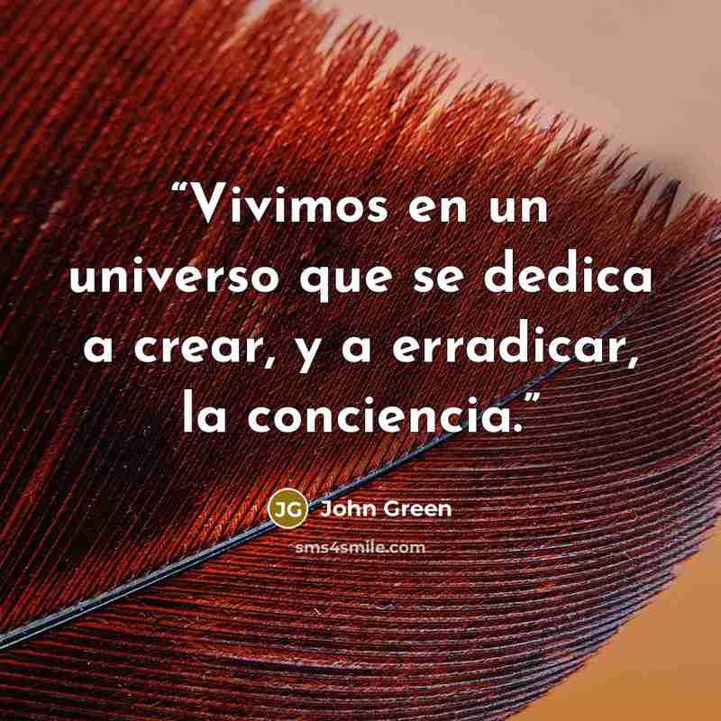 “Vivimos en un universo que se dedica a crear, y a erradicar, la conciencia.” quote by John Green