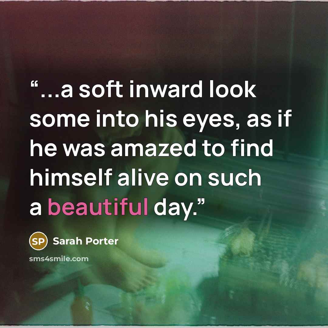 “...a soft inward look some into his eyes, as if he was amazed to find himself alive on such a beautiful day.” quote by Sarah Porter