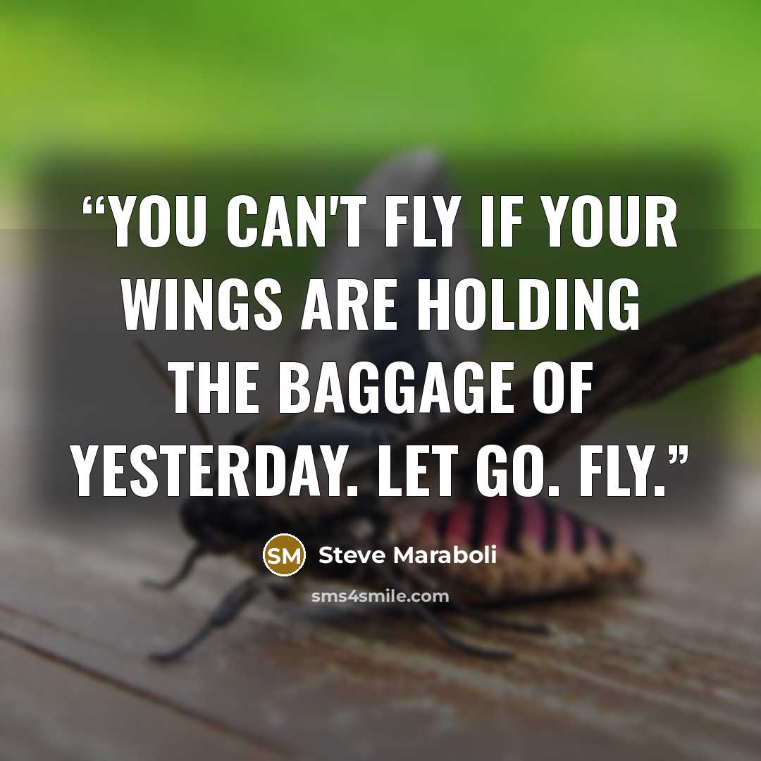 “You can't fly if your wings are holding the baggage of yesterday. Let go. Fly.” quote by Steve Maraboli