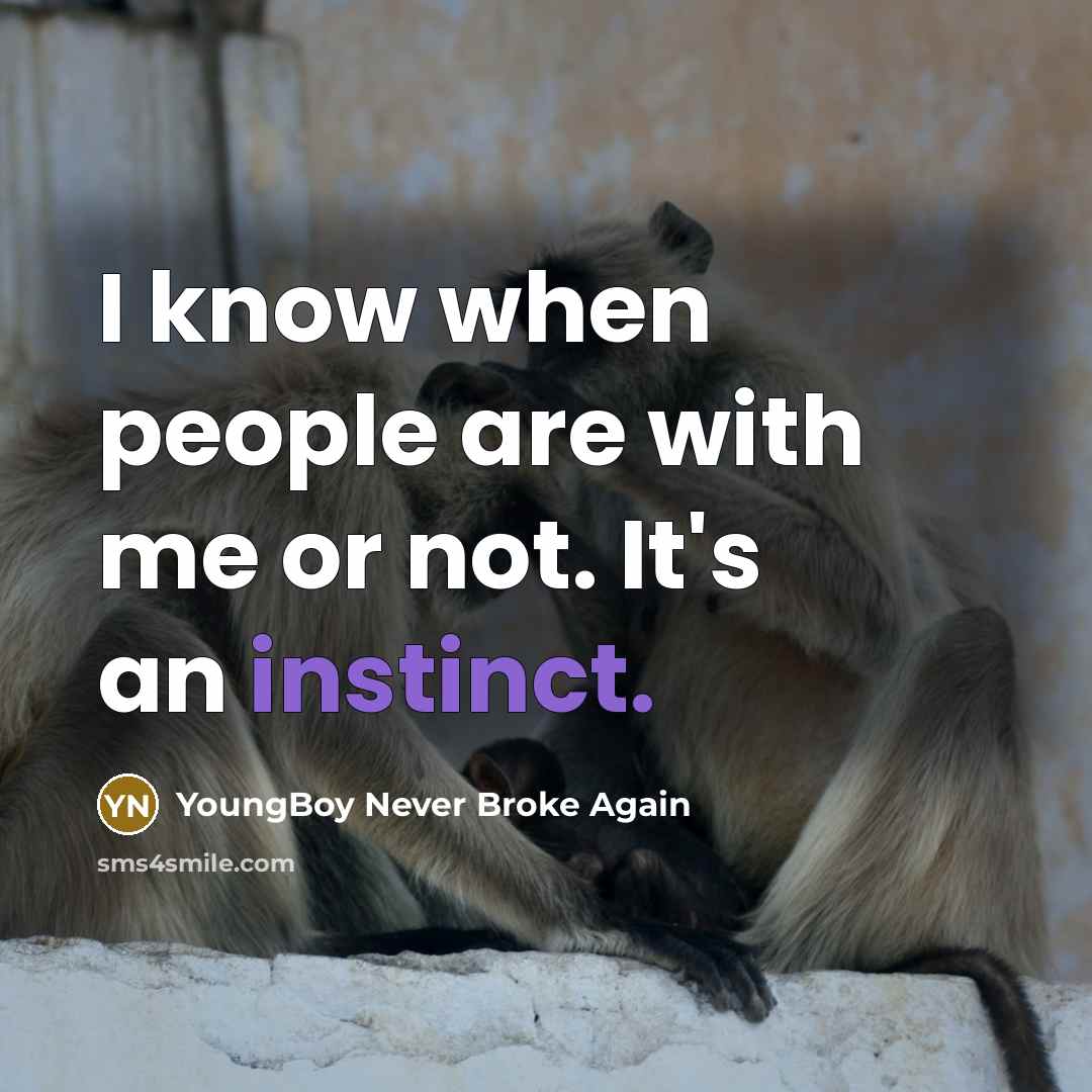“I know when people are with me or not. It's an instinct.” quote by YoungBoy Never Broke Again