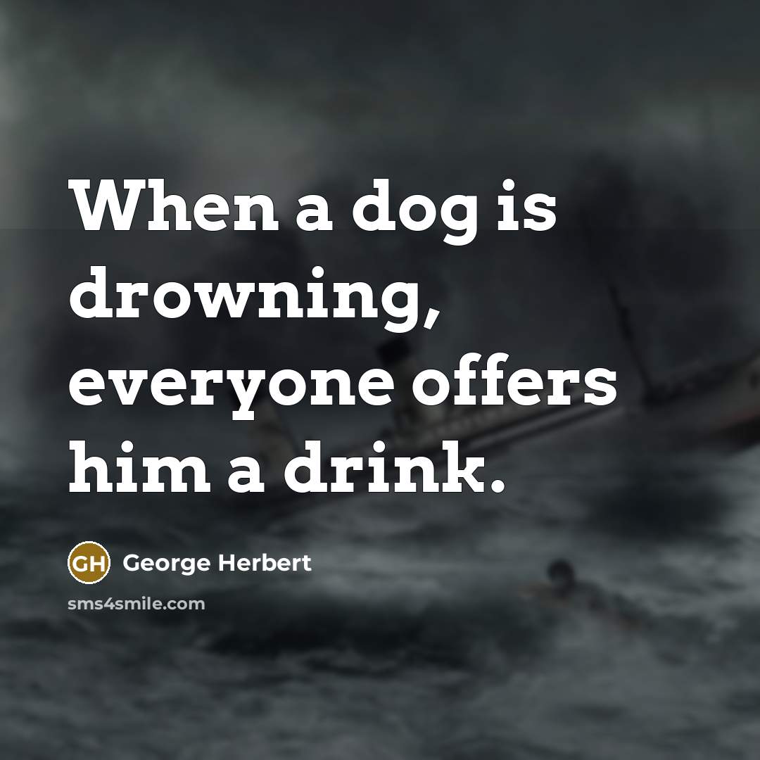 “When a dog is drowning, everyone offers him a drink.” quote by George Herbert