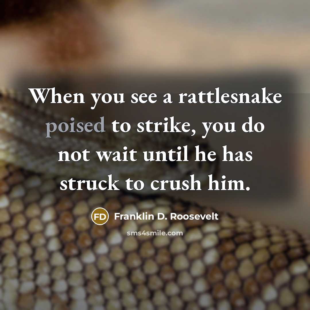 “When you see a rattlesnake poised to strike, you do not wait until he has struck to crush him.” quote by Franklin D. Roosevelt