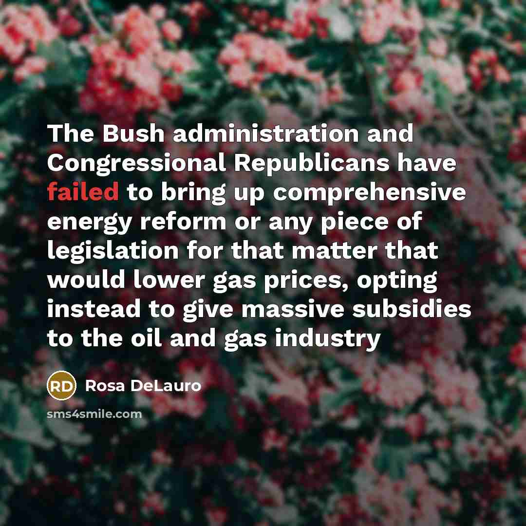 “The Bush administration and Congressional Republicans have failed to bring up comprehensive energy reform or any piece of legislation for that matter that would lower gas prices, opting instead to give massive subsidies to the oil and gas industry” quote by Rosa DeLauro