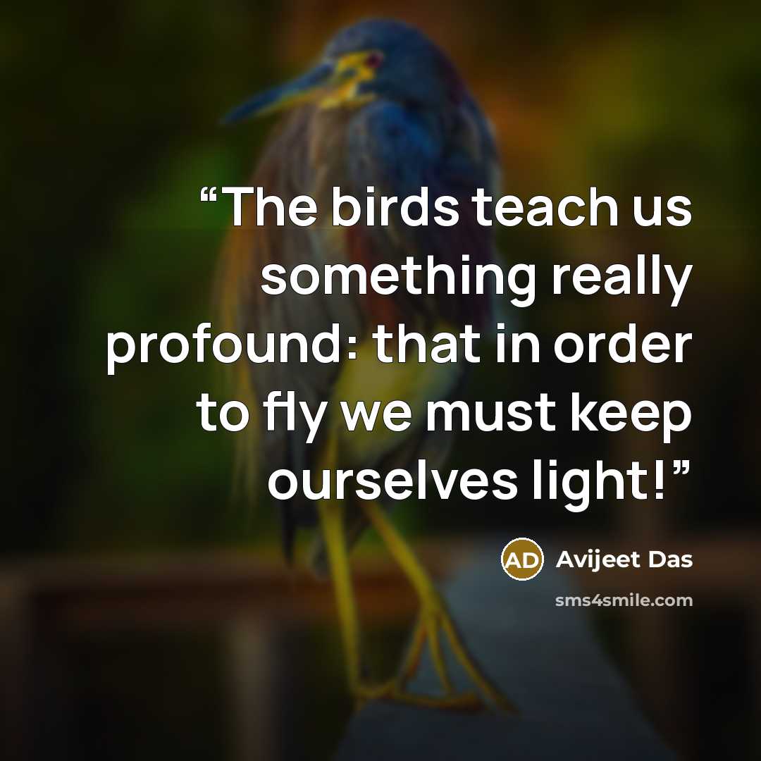“The birds teach us something really profound: that in order to fly we must keep ourselves light!” quote by Avijeet Das