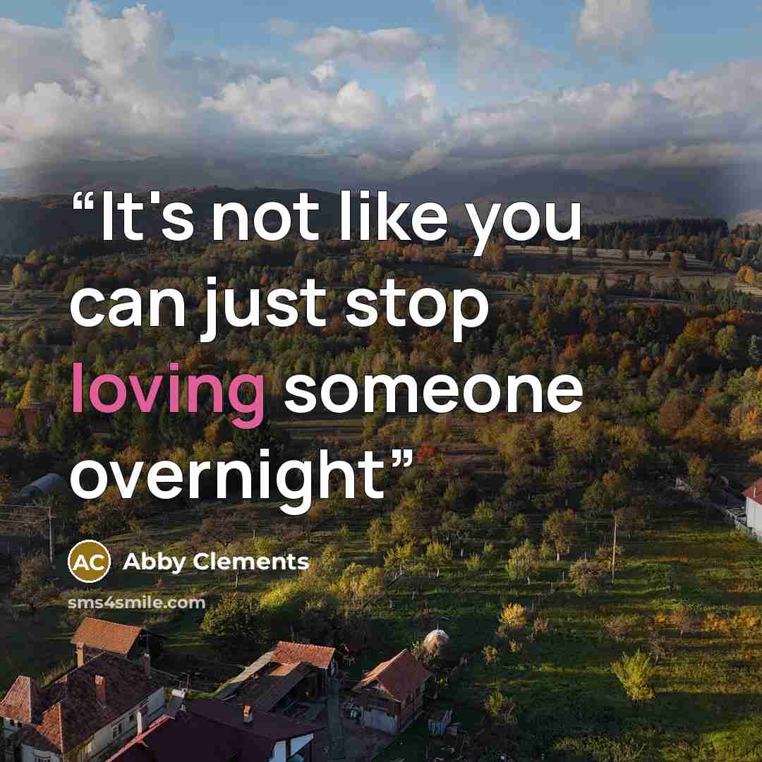“It's not like you can just stop loving someone overnight” quote by Abby Clements