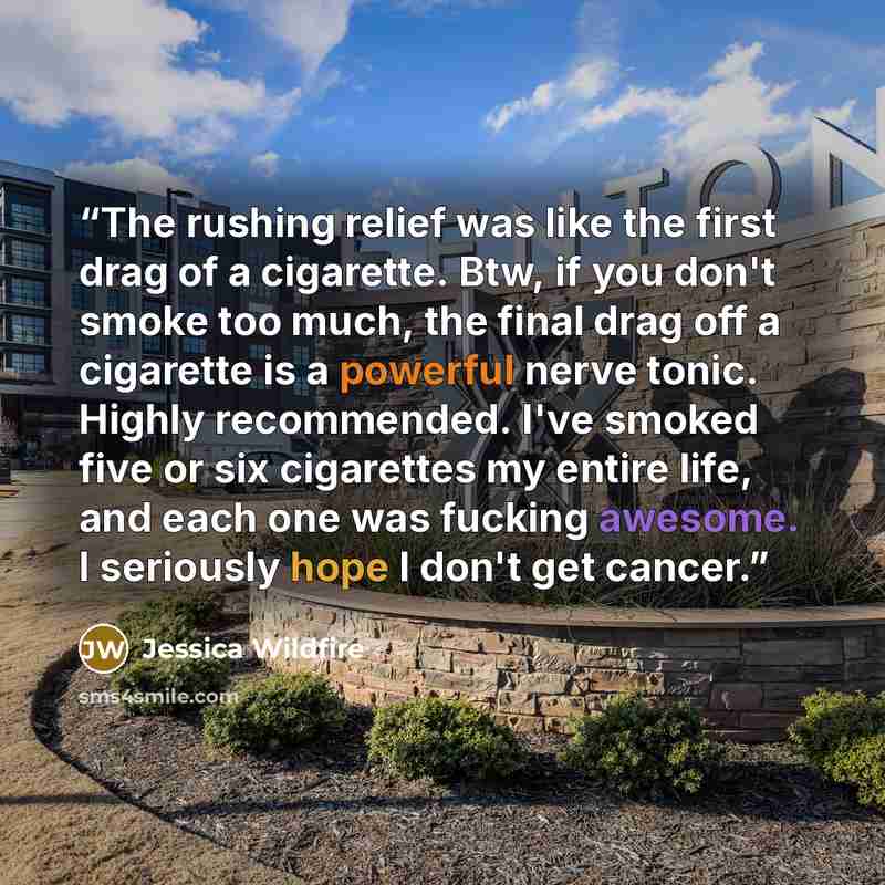 “The rushing relief was like the first drag of a cigarette. Btw, if you don't smoke too much, the final drag off a cigarette is a powerful nerve tonic. Highly recommended. I've smoked five or six cigarettes my entire life, and each one was fucking awesome. I seriously hope I don't get cancer.” quote by Jessica Wildfire