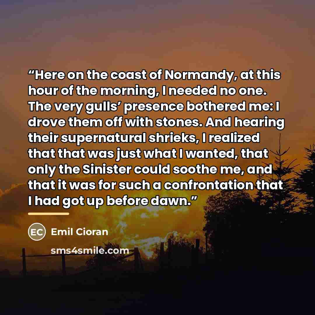 “Here on the coast of Normandy, at this hour of the morning, I needed no one. The very gulls’ presence bothered me: I drove them off with stones. And hearing their supernatural shrieks, I realized that that was just what I wanted, that only the Sinister could soothe me, and that it was for such a…” quote by Emil Cioran