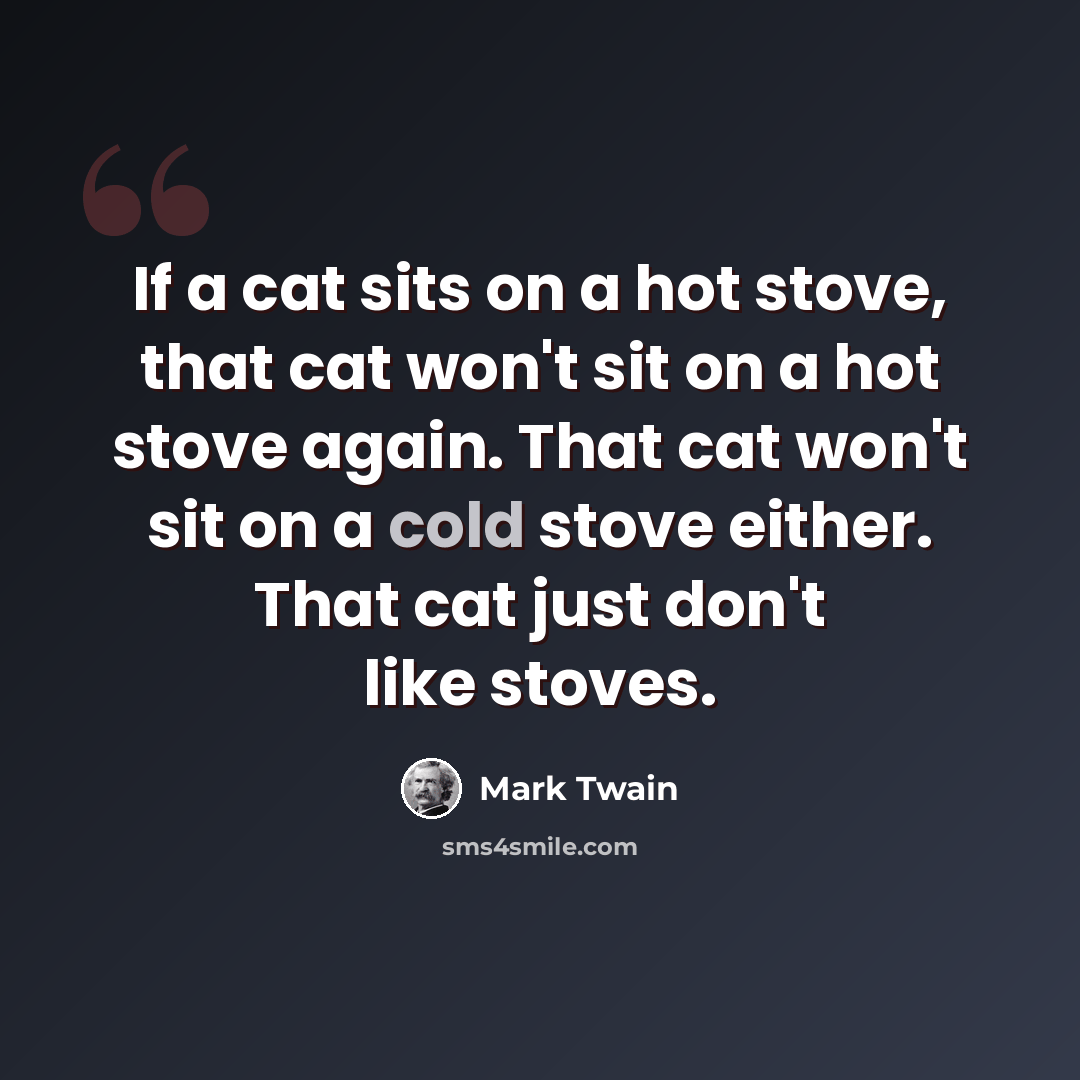 “If a cat sits on a hot stove, that cat won't sit on a hot stove again. That cat won't sit on a cold stove either. That cat just don't like stoves.” quote by Mark Twain