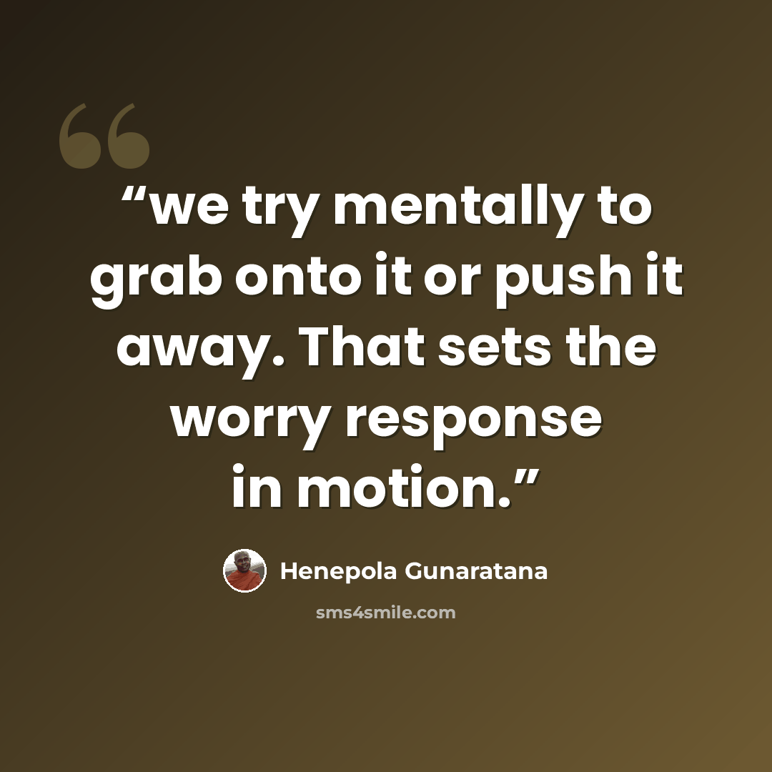 “we try mentally to grab onto it or push it away. That sets the worry response in motion.” quote by Henepola Gunaratana