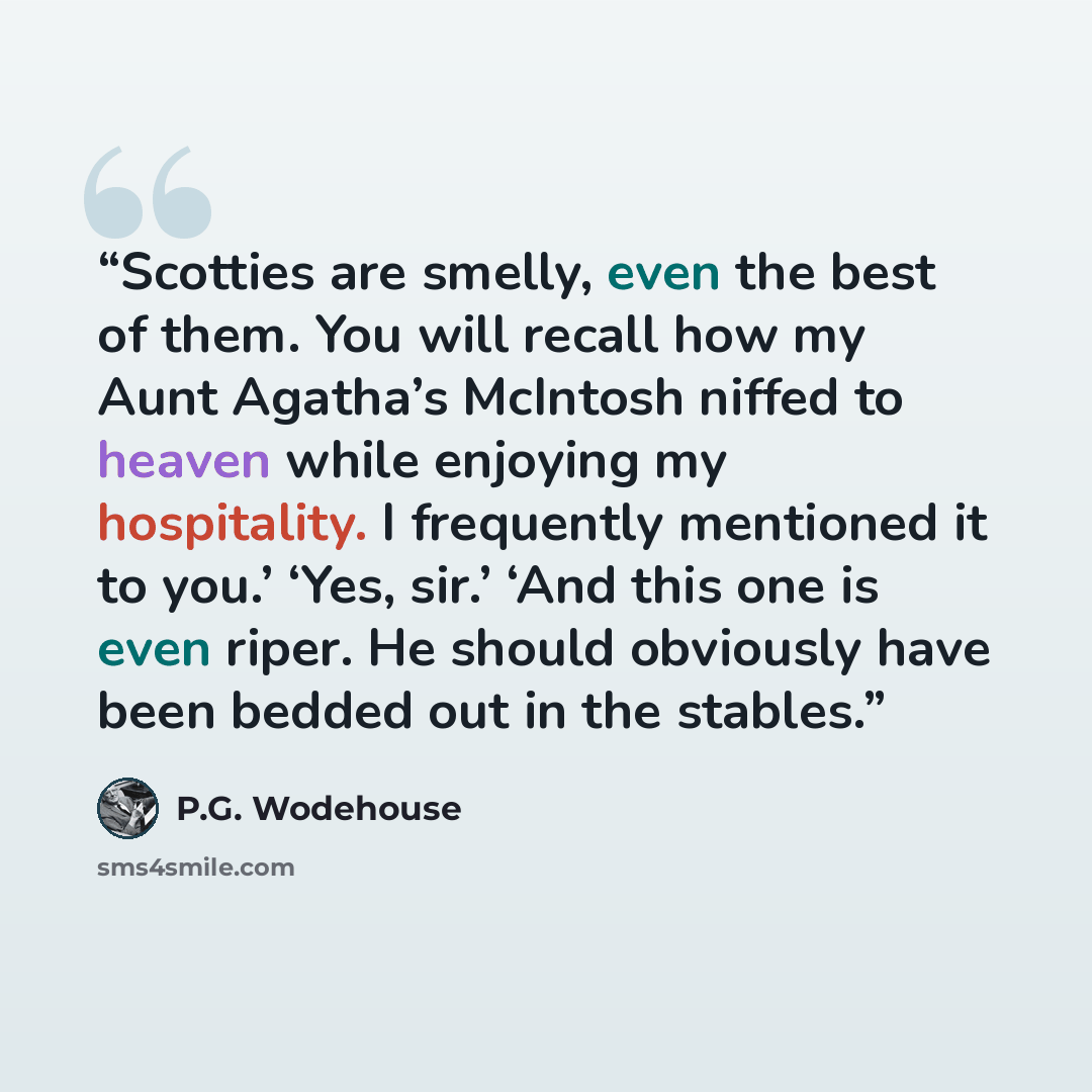 “Scotties are smelly, even the best of them. You will recall how my Aunt Agatha’s McIntosh niffed to heaven while enjoying my hospitality. I frequently mentioned it to you.’ ‘Yes, sir.’ ‘And this one is even riper. He should obviously have been bedded out in the stables.” quote by P.G. Wodehouse