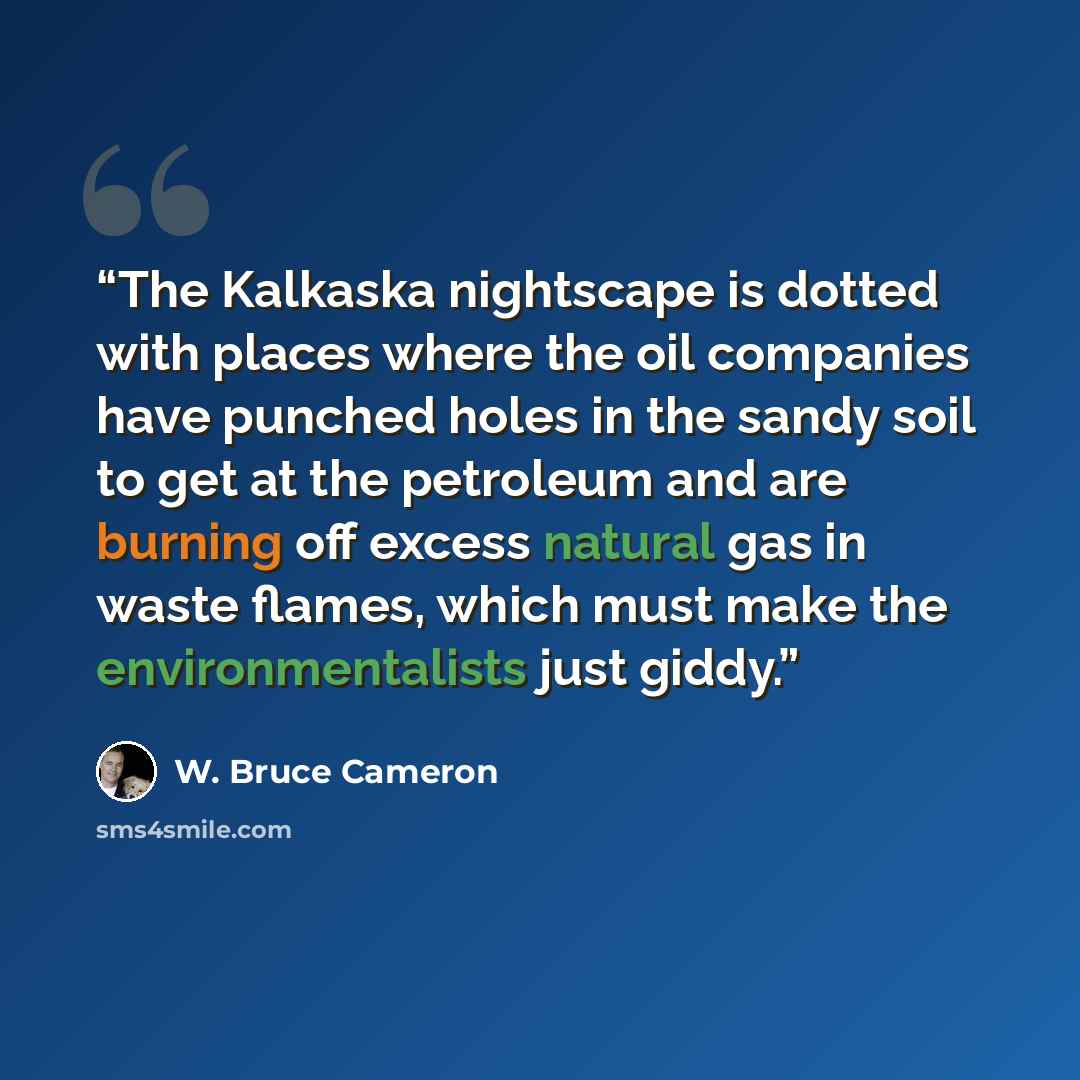 “The Kalkaska nightscape is dotted with places where the oil companies have punched holes in the sandy soil to get at the petroleum and are burning off excess natural gas in waste flames, which must make the environmentalists just giddy.” quote by W. Bruce Cameron