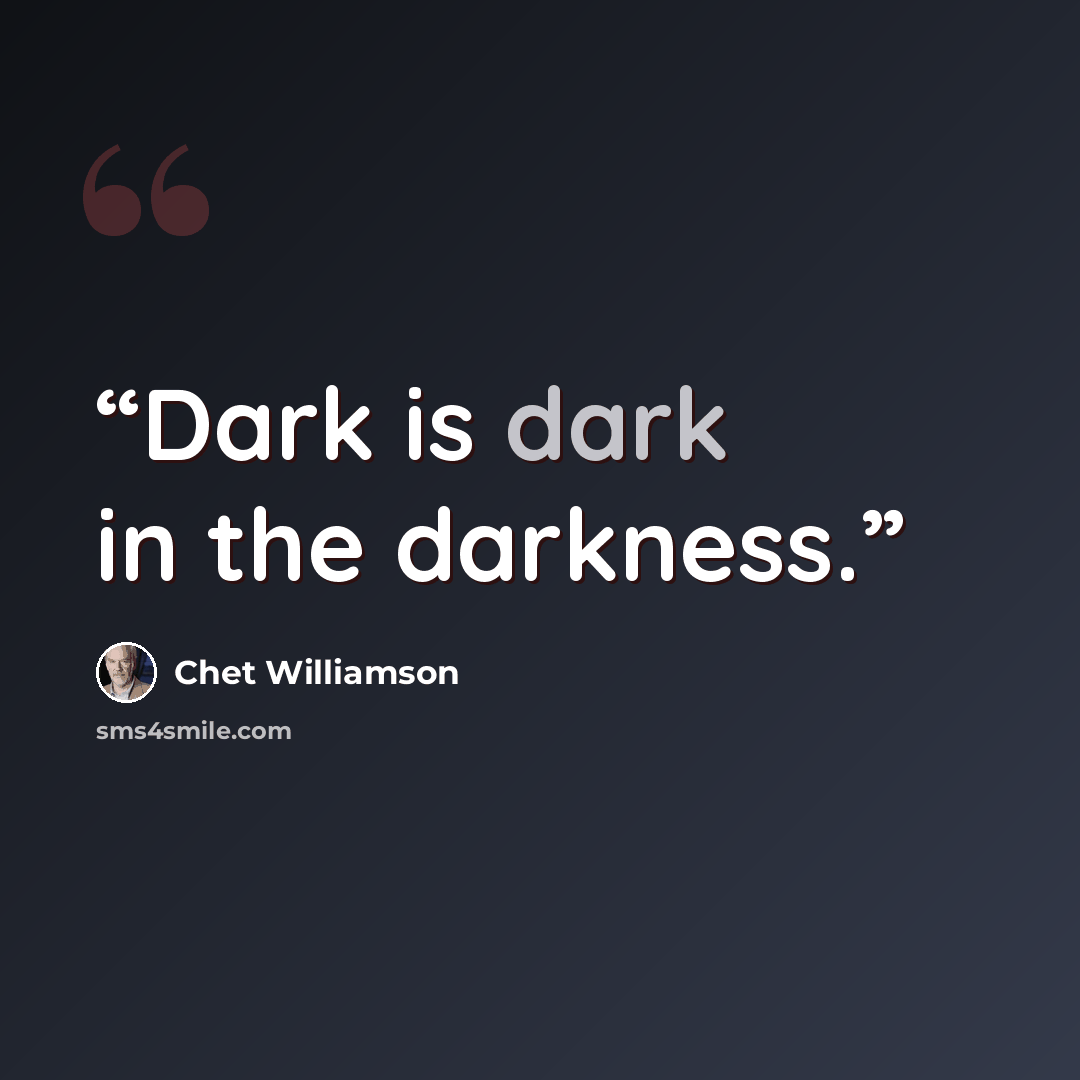 “Dark is dark in the darkness.” quote by Chet Williamson