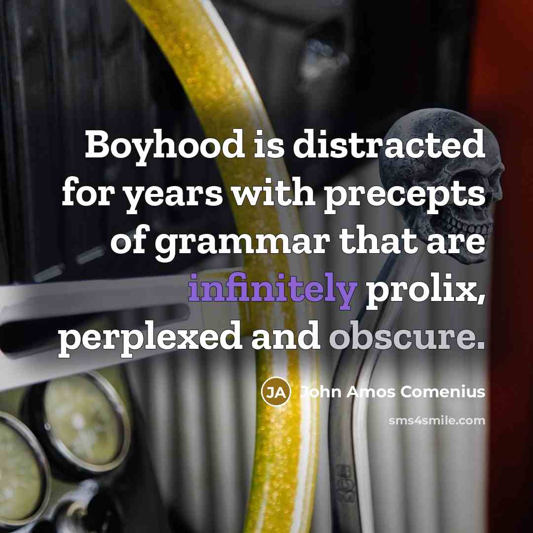 “Boyhood is distracted for years with precepts of grammar that are infinitely prolix, perplexed and obscure.” quote by John Amos Comenius