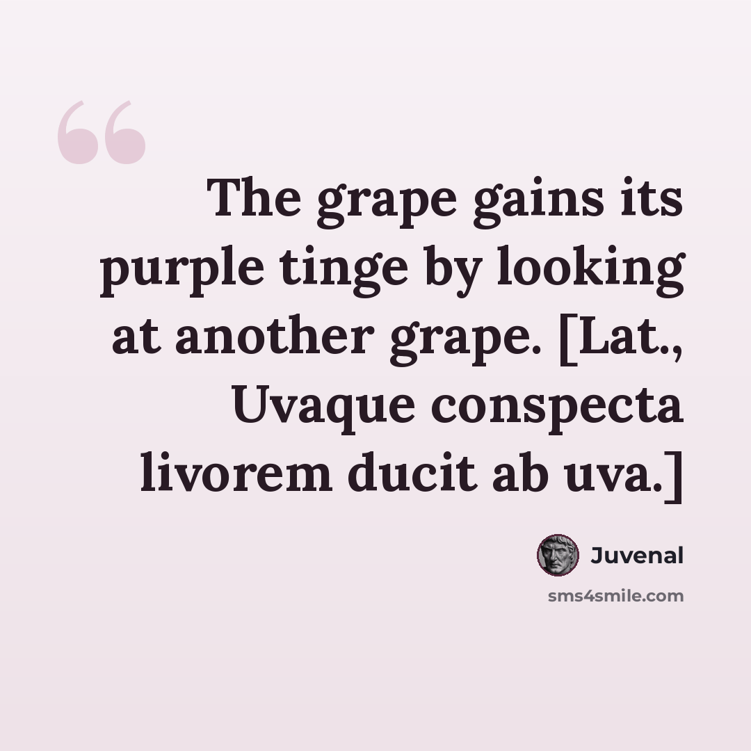 “The grape gains its purple tinge by looking at another grape. [Lat., Uvaque conspecta livorem ducit ab uva.]” quote by Juvenal