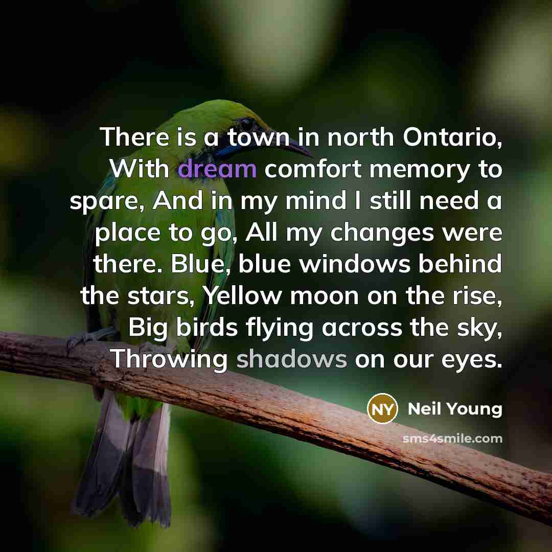 “There is a town in north Ontario, With dream comfort memory to spare, And in my mind I still need a place to go, All my changes were there. Blue, blue windows behind the stars, Yellow moon on the rise, Big birds flying across the sky, Throwing shadows on our eyes.” quote by Neil Young