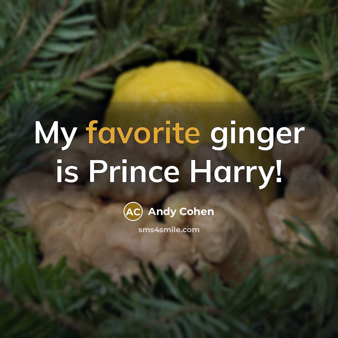 “My favorite ginger is Prince Harry!” quote by Andy Cohen