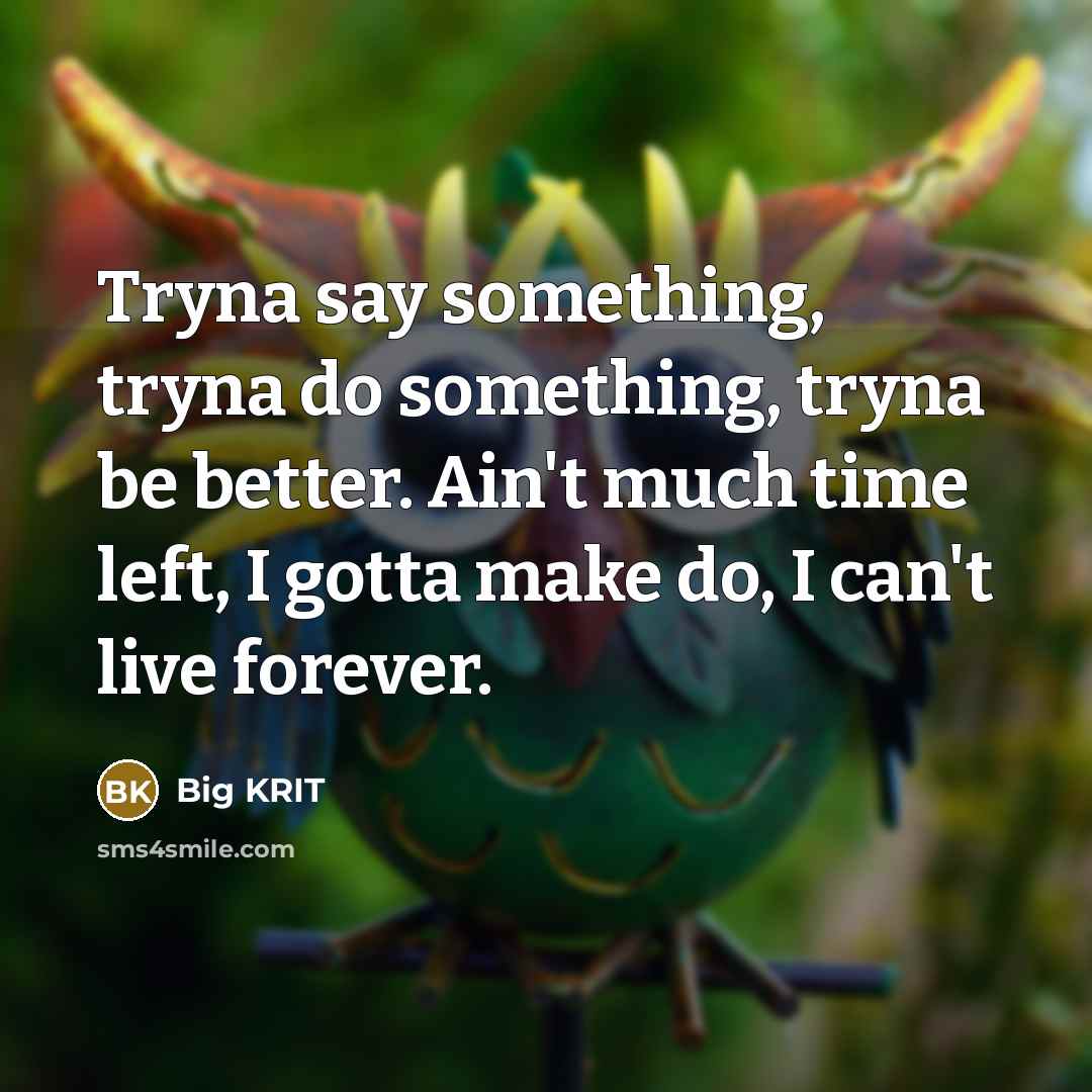 “Tryna say something, tryna do something, tryna be better. Ain't much time left, I gotta make do, I can't live forever.” quote by Big Krit