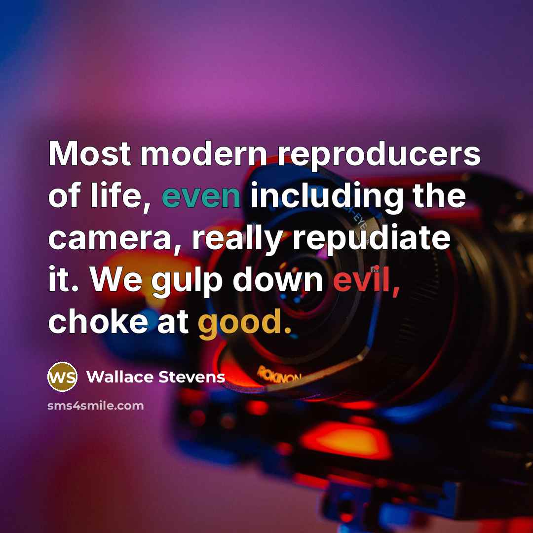 “Most modern reproducers of life, even including the camera, really repudiate it. We gulp down evil, choke at good.” quote by Wallace Stevens