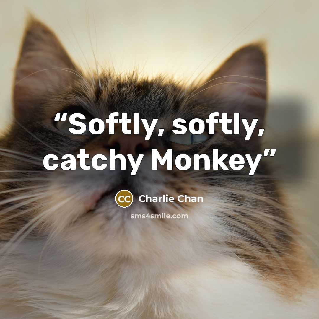 “Softly, softly, catchy Monkey” quote by Charlie Chan