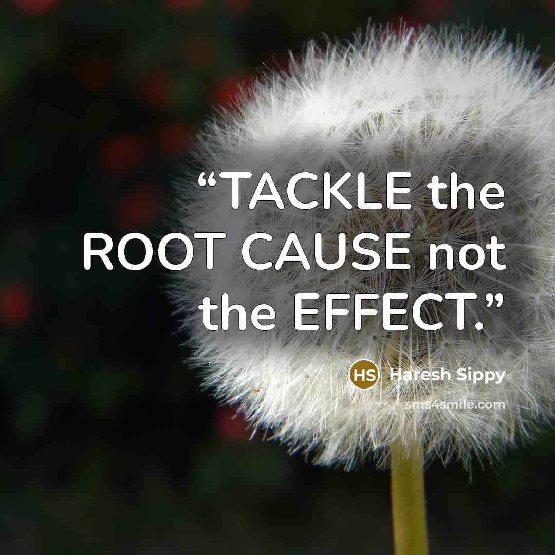 “TACKLE the ROOT CAUSE not the EFFECT.” quote by Haresh Sippy