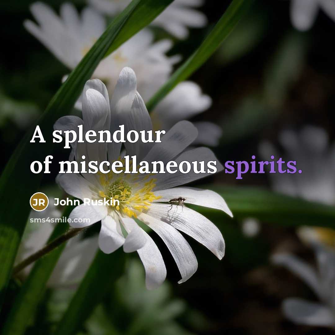 “A splendour of miscellaneous spirits.” quote by John Ruskin