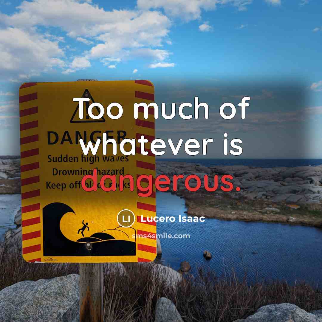 “Too much of whatever is dangerous.” quote by Lucero Isaac