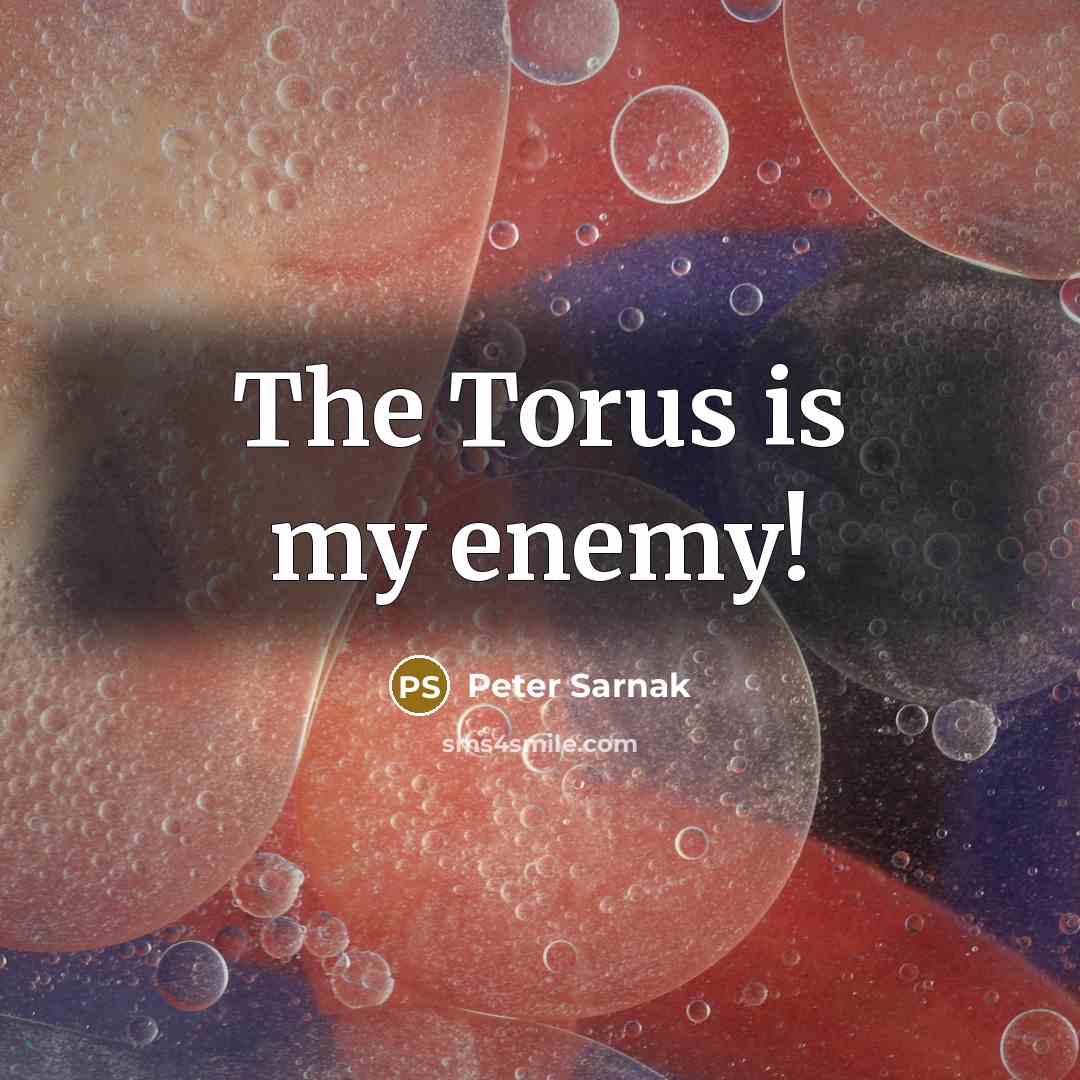 “The Torus is my enemy!” quote by Peter Sarnak