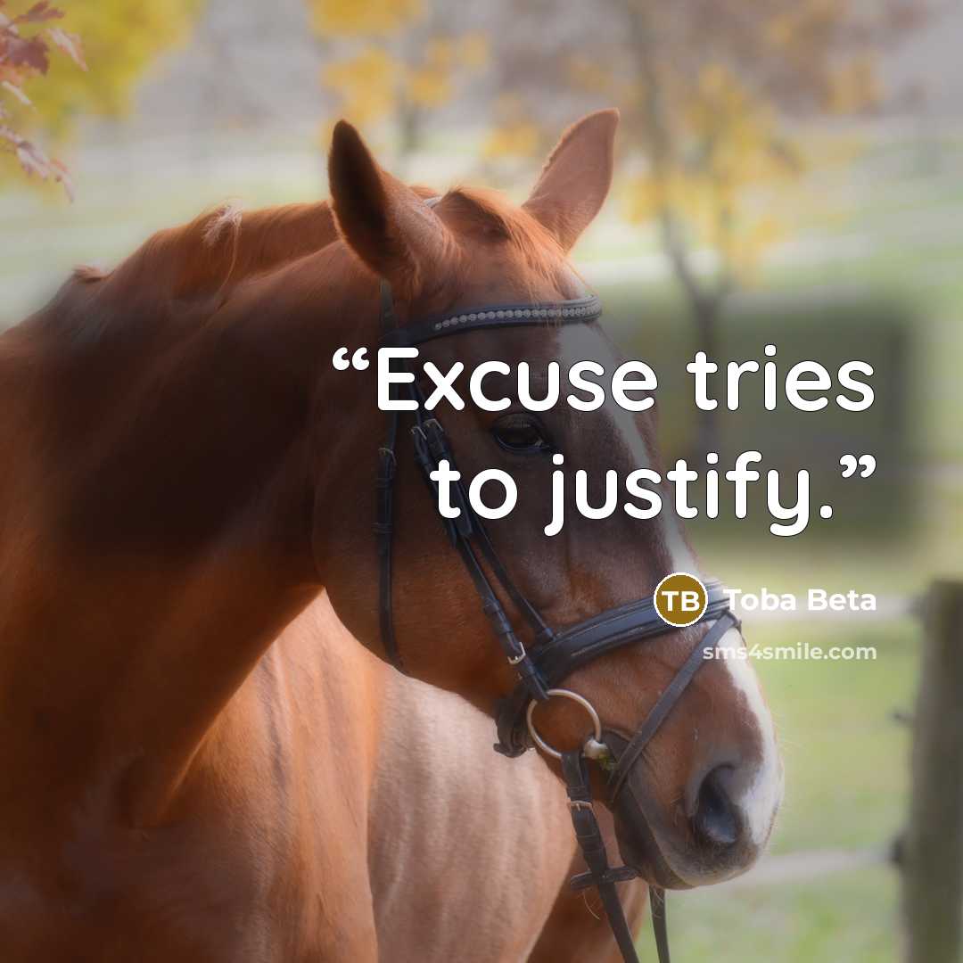 “Excuse tries to justify.” quote by Toba Beta